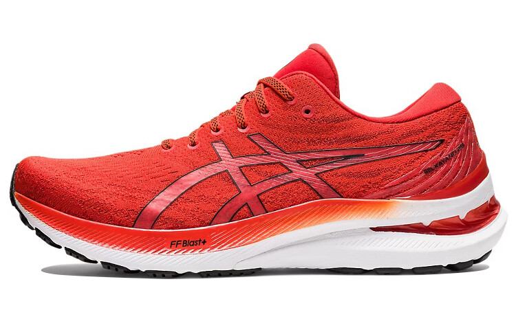 

Кроссовки мужские Asics Gel-Kayano 29