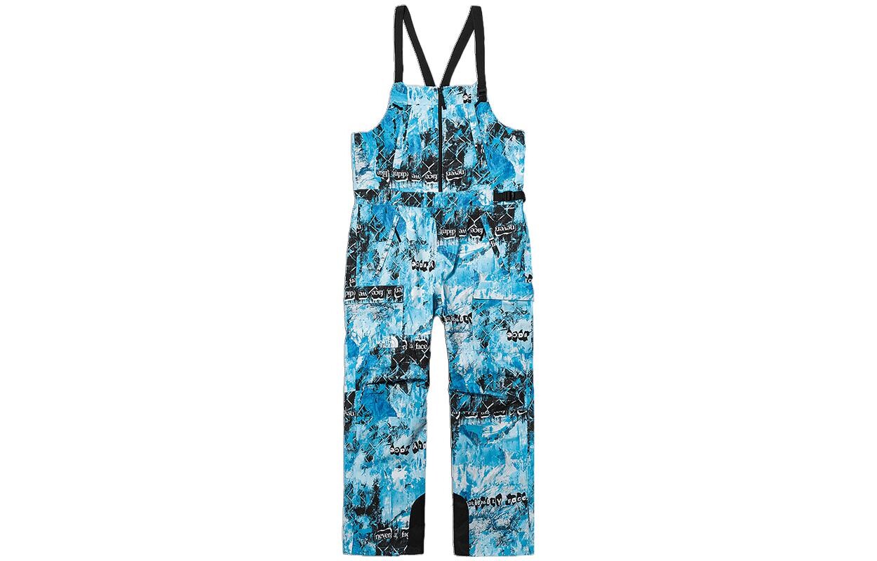 

THE NORTH FACE Мужские брюки Hard Shell, цвет Blue