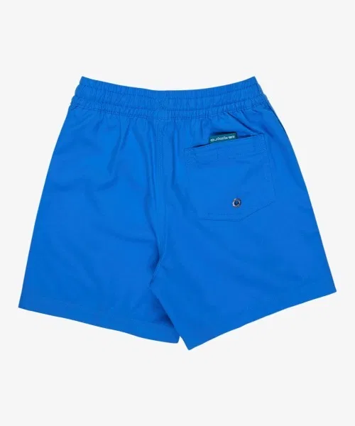 Плавки Quiksilver Everyday Solid VL BO синие — фото 3