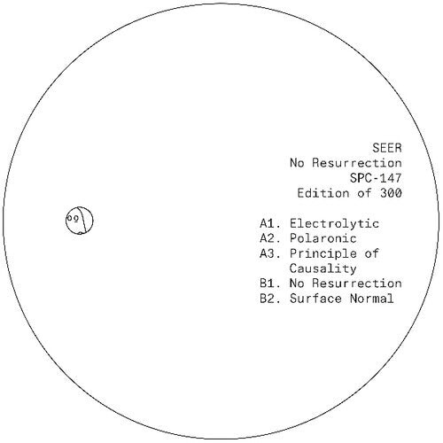 

Сингл 12" Seer: No Resurrection