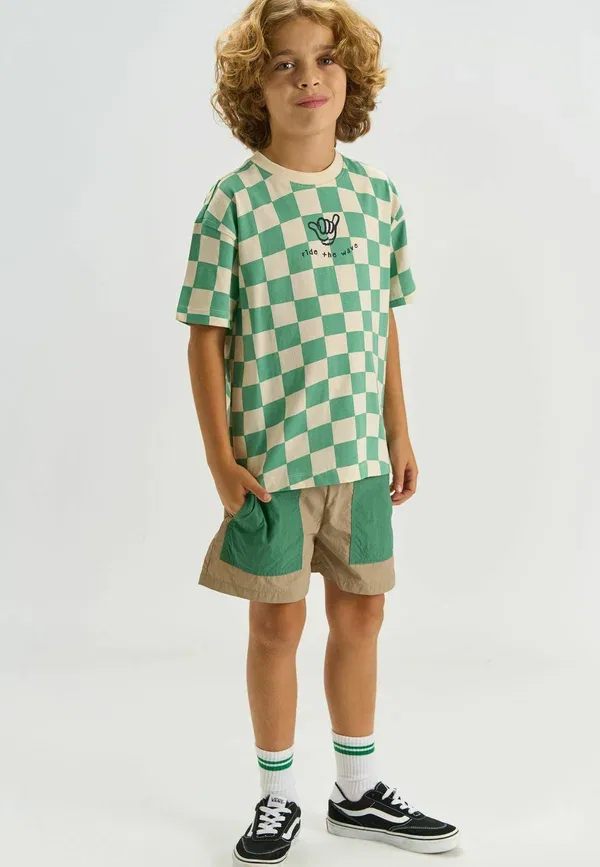 Футболка Tiago tee print t-shirt The New, цвет крем-де-мент