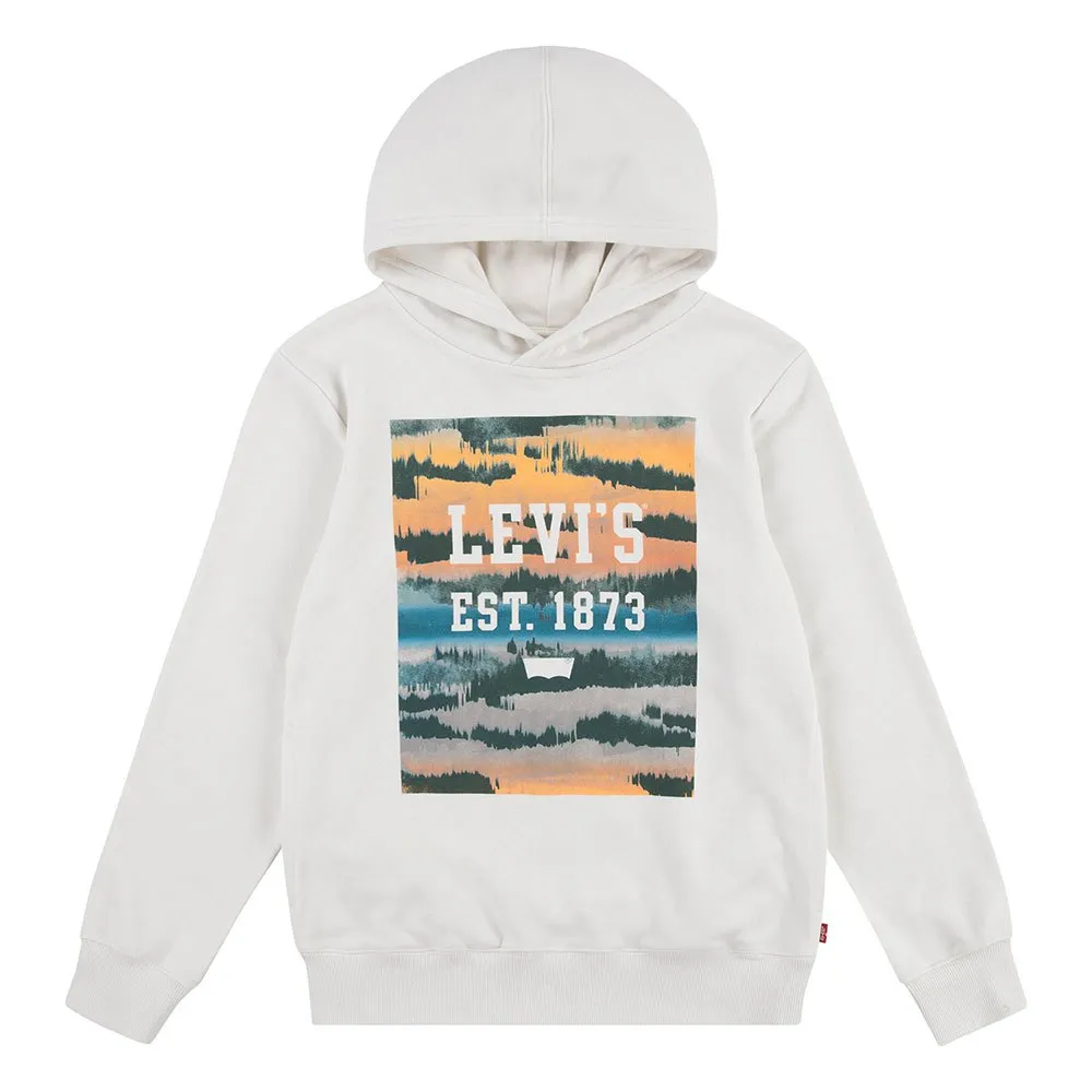 

Худи Levi's Landscape Box, бежевый