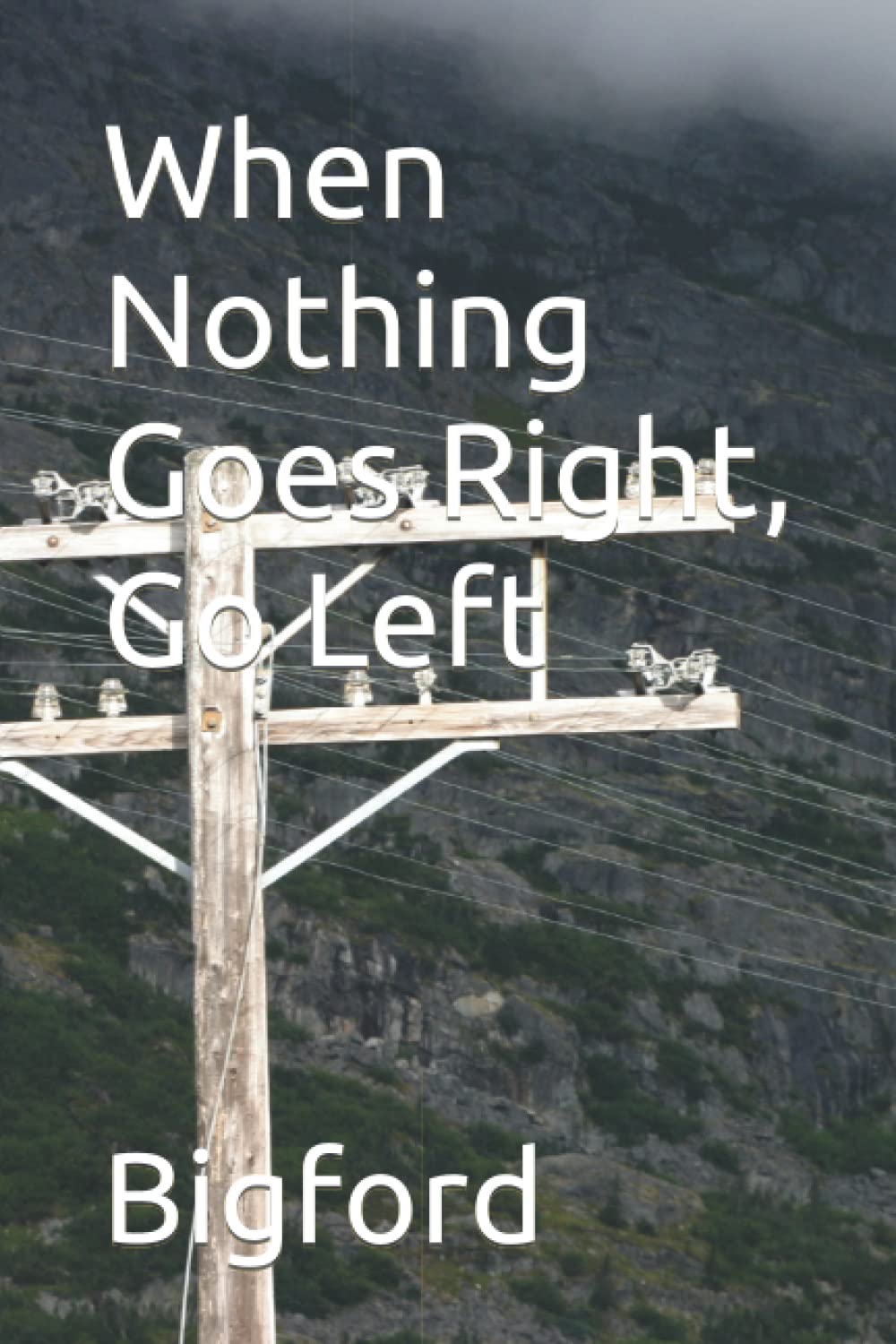 

When Nothing Goes Right, Go Left (Independently published)