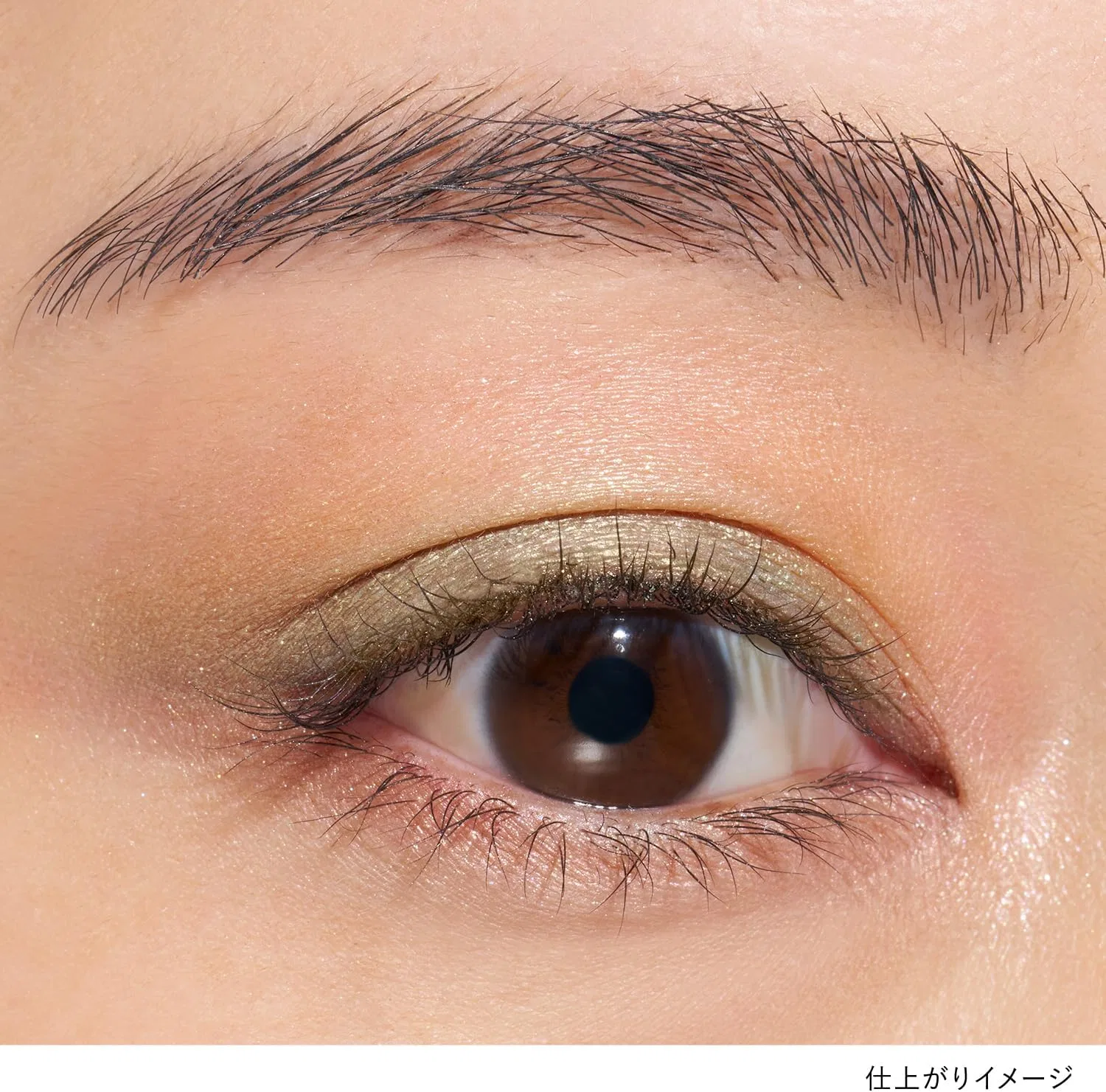 Тени для век Lunasol Eye Colouration N EX10 Leafy Shade — фото 3