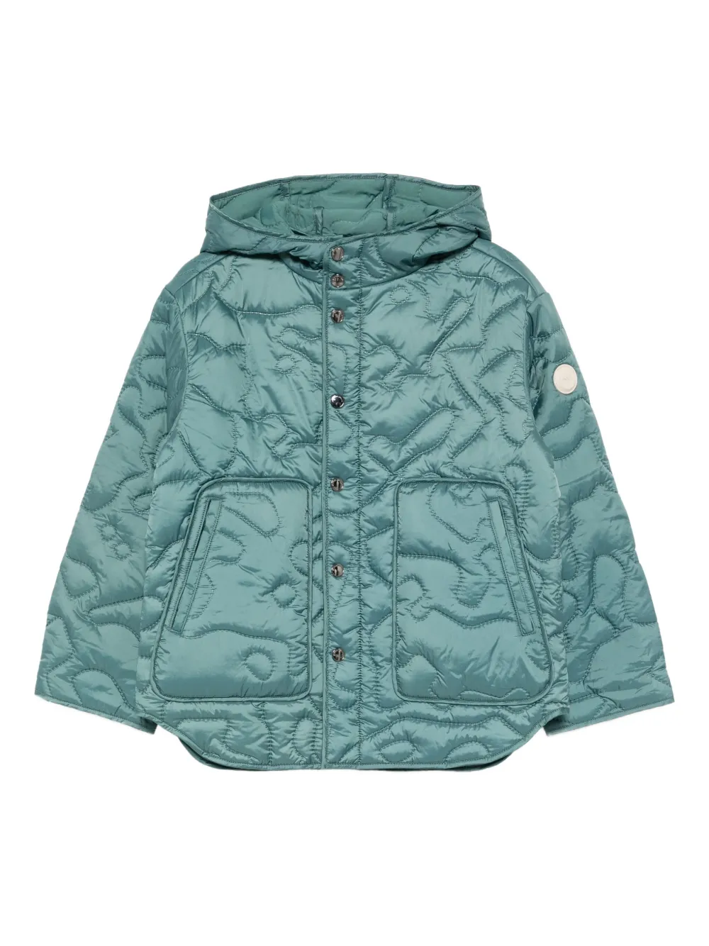 

Стеганый пуховик Emporio Armani Kids, синий