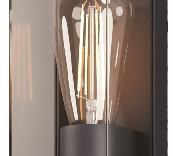 

Настенный светильник Maytoni Decorative Lighting Conf 1, черный