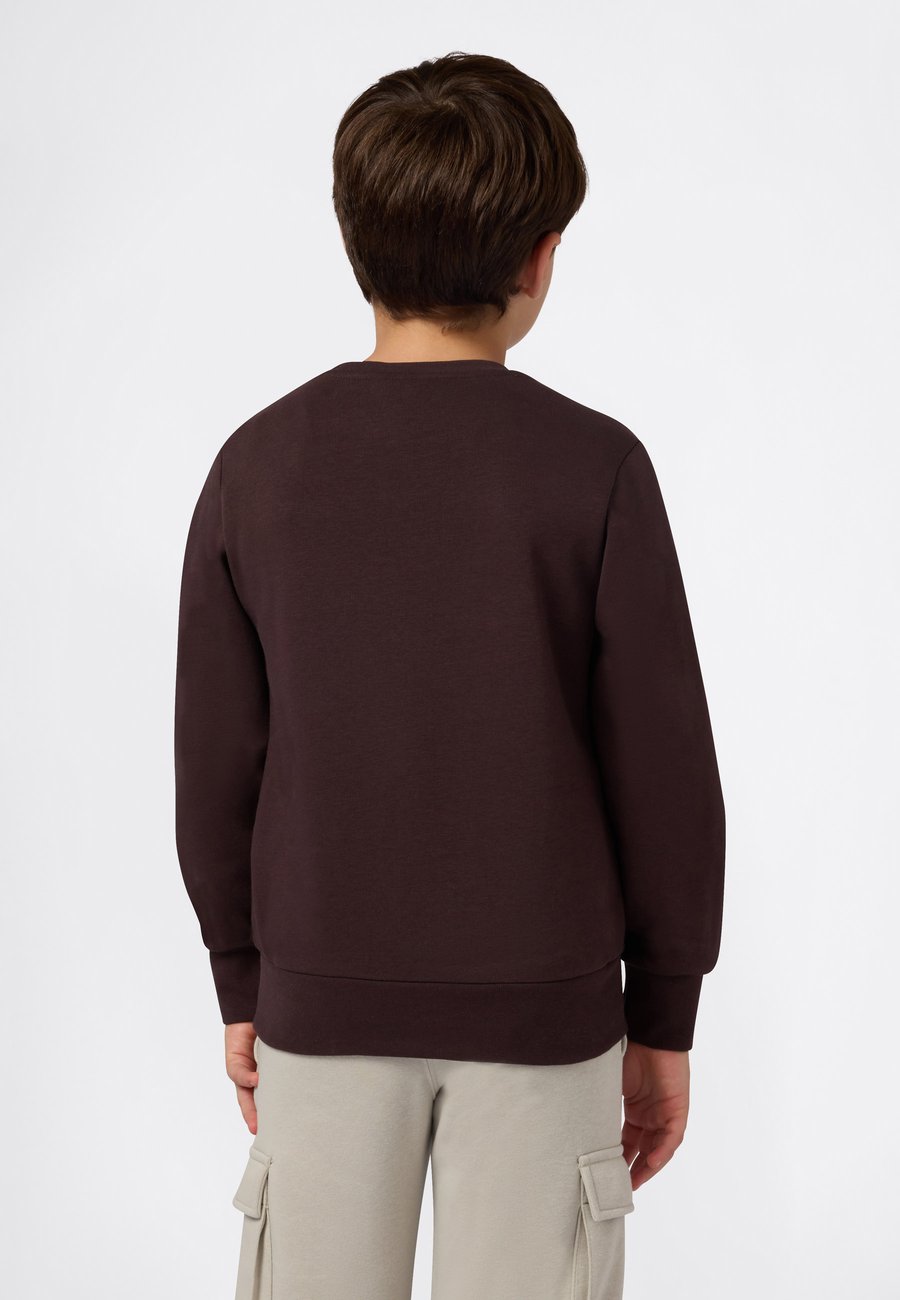 Толстовка Champion ICONS CREW NECK , Chocolate Ganache/Bordeaux — фото 3