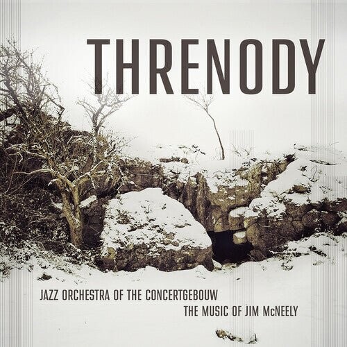 

Виниловая пластинка Mcneely, Jim - Threnody