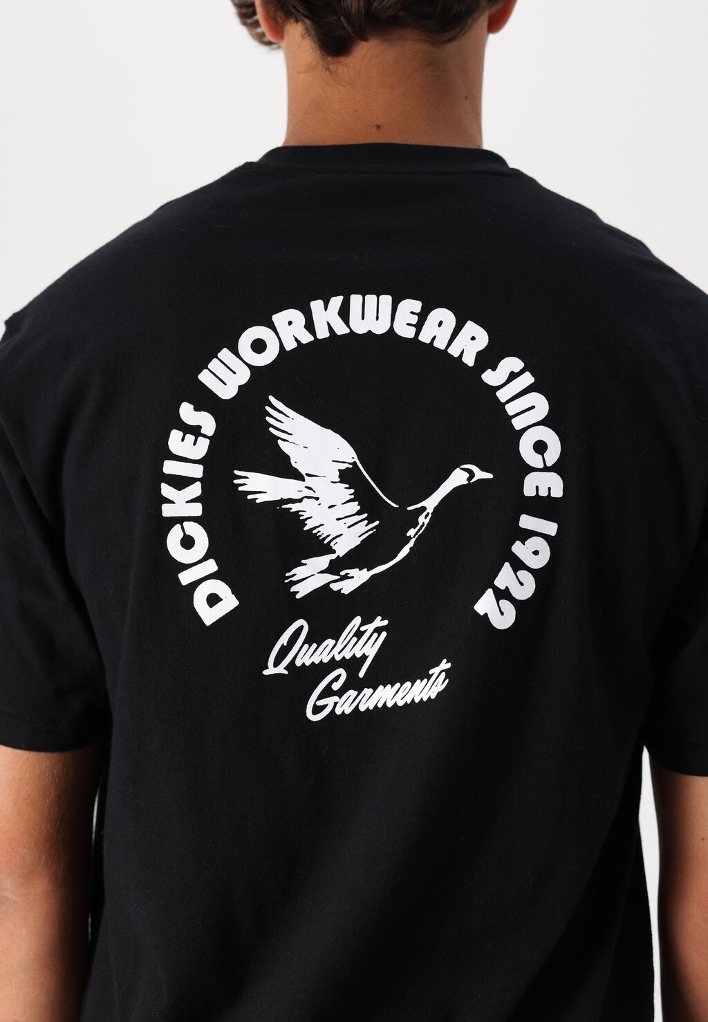 

Футболка с принтом GRAPHIC TEE Dickies, черный