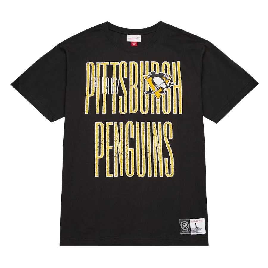 

Mitchell Ness Футболка Mitchell & Ness x NHL Pittsburgh Penguins Team OG Premium мужская black, Черный, Mitchell Ness Футболка Mitchell & Ness x NHL Pittsburgh Penguins Team OG Premium мужская black
