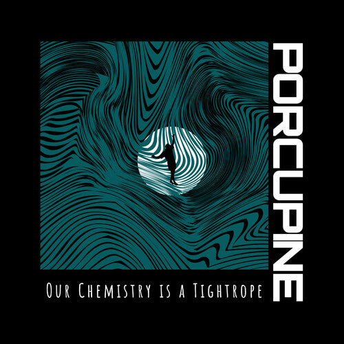 

Виниловая пластинка Porcupine: Our Chemistry Is A Tightrope