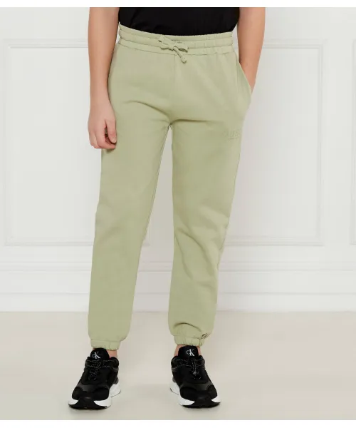 

Спортивные штаны Regular fit Guess, зеленый