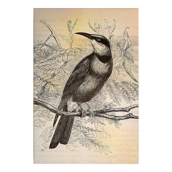 

Картина на холсте A.S. Création Vogel Vintage Birds цвет gelb/schwarz
