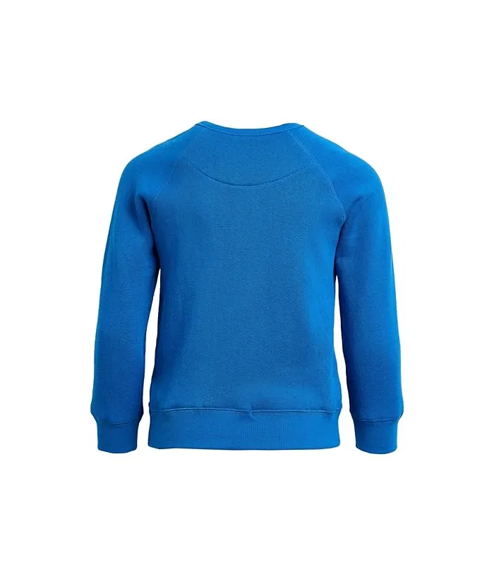 Худи Детройт Лайонс Hot Route Junk Food Clothing Kids, Lions Blue — фото 2