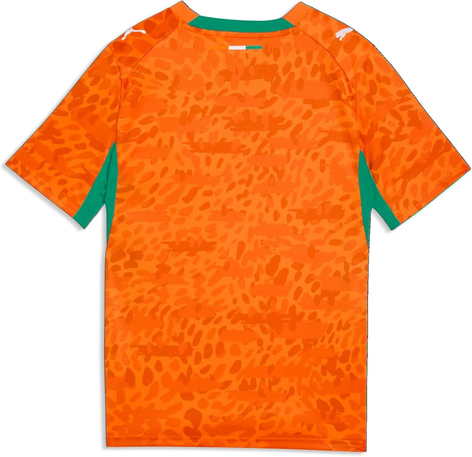 Футболка детская Kenya Ivory Coast, PUMA, Rickie Orange-sport Green — фото 4