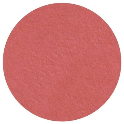 

Матовые тени для век Antique Pink - великолепные матовые тени для век для потрясающего образа Parisax