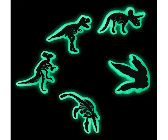 

Джиббитсы Glow In The Dark Dino 5 Pack Crocs