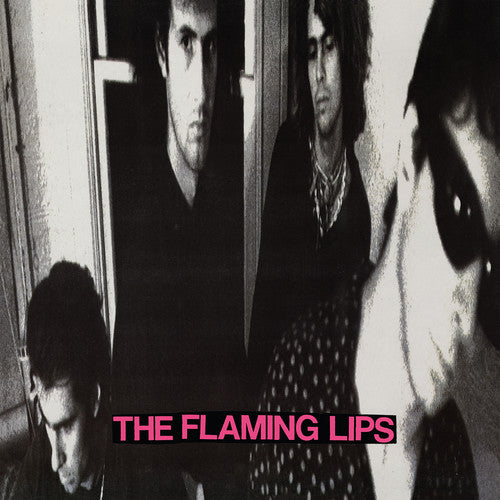 

Виниловая пластинка Flaming Lips: In A Priest Driven Ambulance