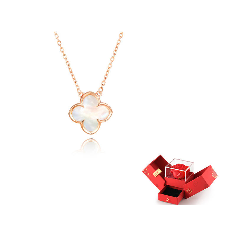 

ZSY Ожерелье из стерлингового серебра 925 пробы для женщин