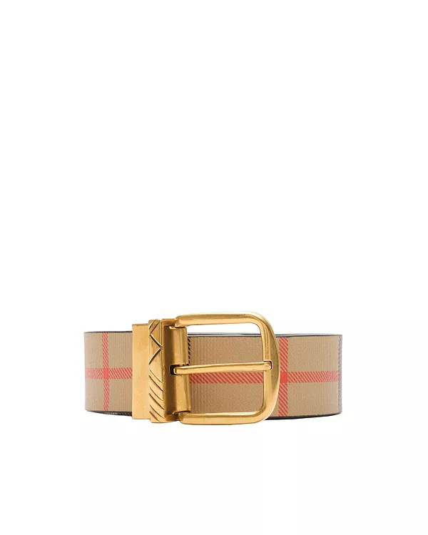 

Реверсивный ремень с контрольным штифтом Burberry, мультиколор