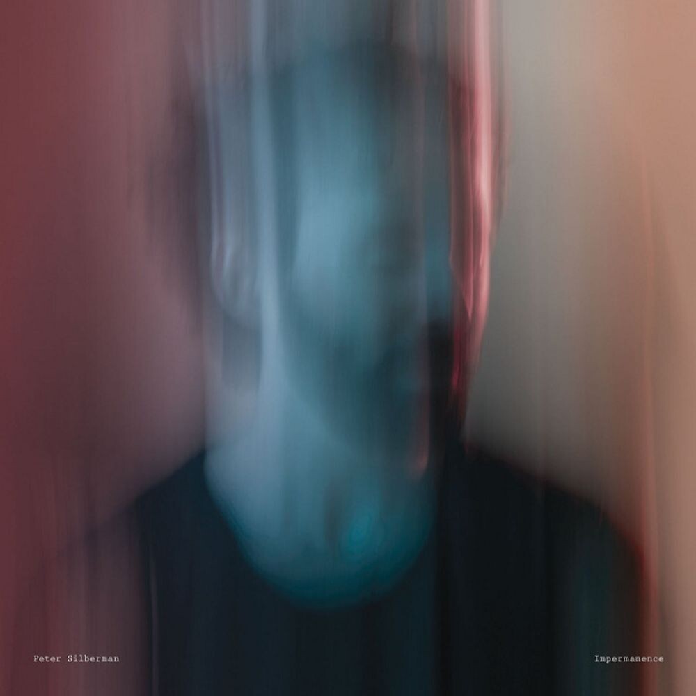 

Диск CD Impermanence - Peter Silberman