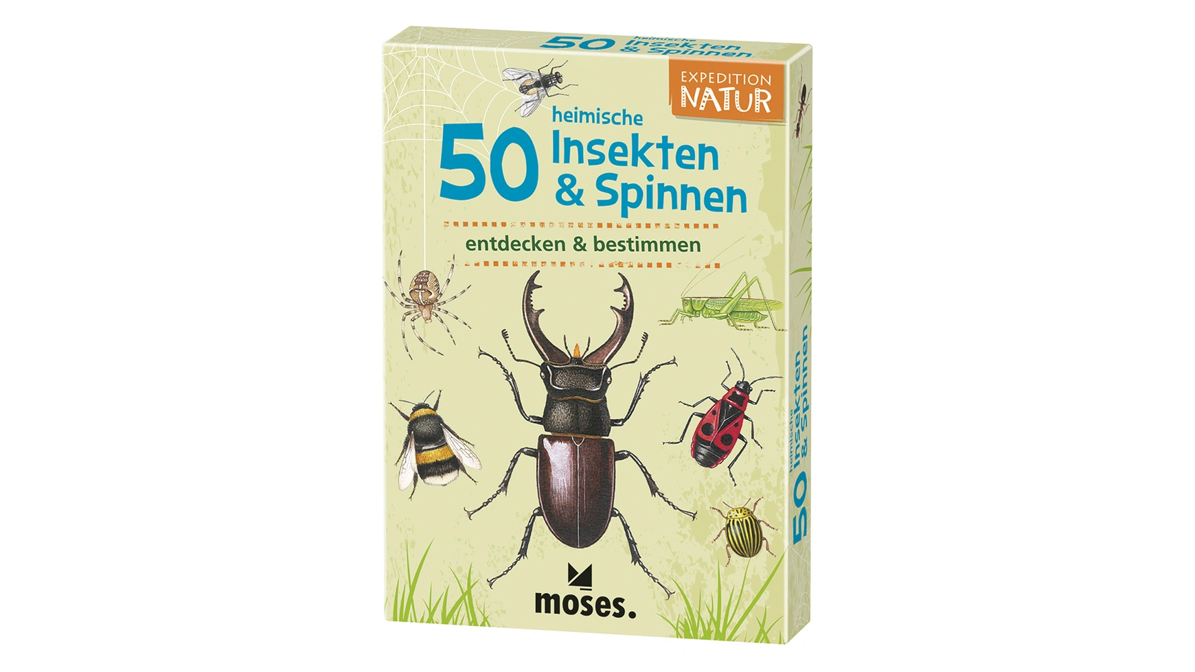 

Moses Expedition Nature 50 местных насекомых и пауков