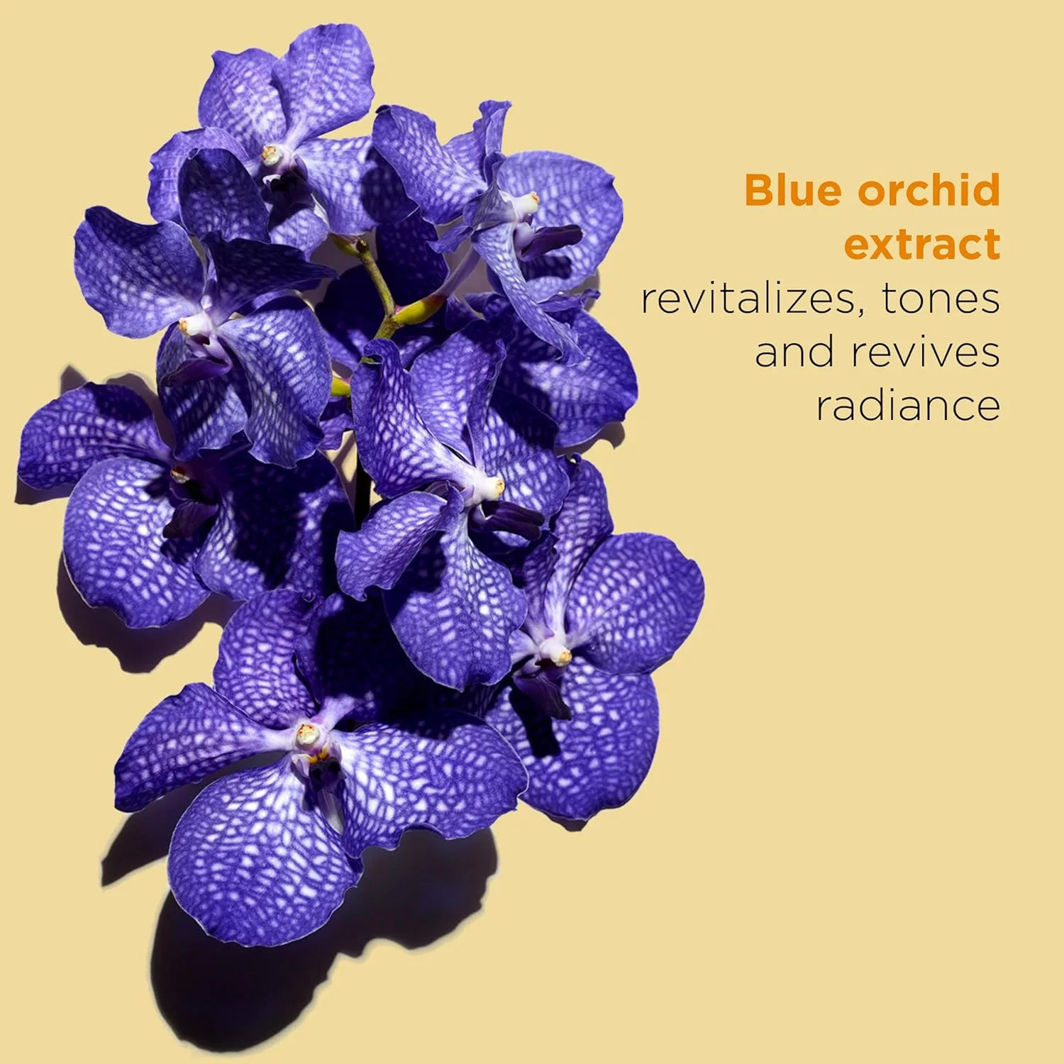 Clarins Blue Orchid Face Oil Treatment для сухой кожи: мгновенное увлажнение, тонизирование и сияние, blue — фото 3