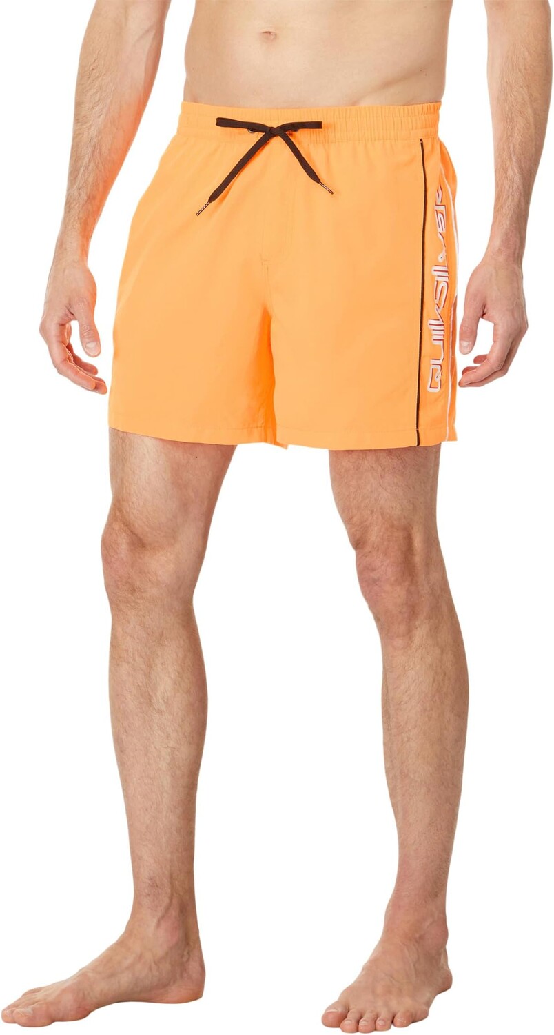 

Плавки Quiksilver Everyday Vert 16" Volley, цвет Orange Pop