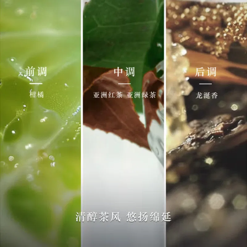 GIORGIO ARMANI Парфюмерная вода Armani Jade Dragon Tea, 100 мл — фото 4