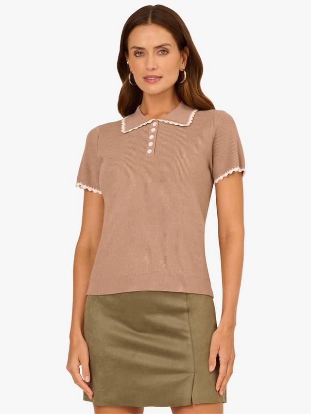 

Свитер с воротником-стойкой Adrianna Papell, Cocoa/Cream