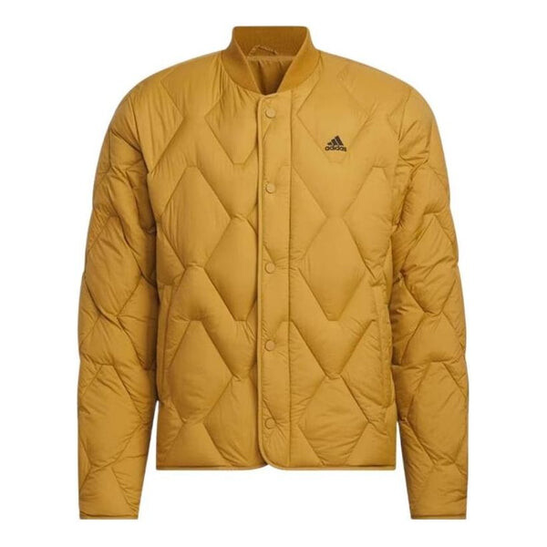 

Куртка обычные университетские пуховики Adidas, желтый