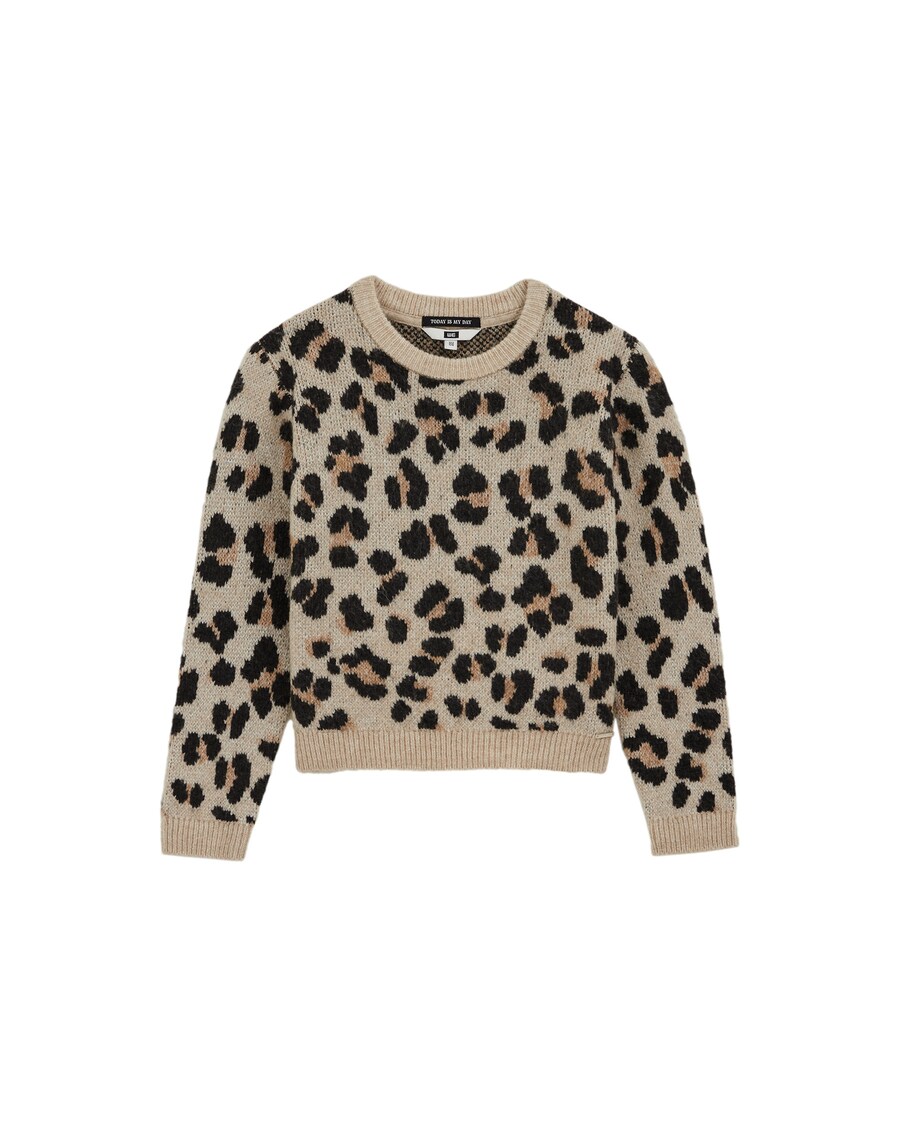 

Свитер WE Fashion, Umbra/Cappuccino