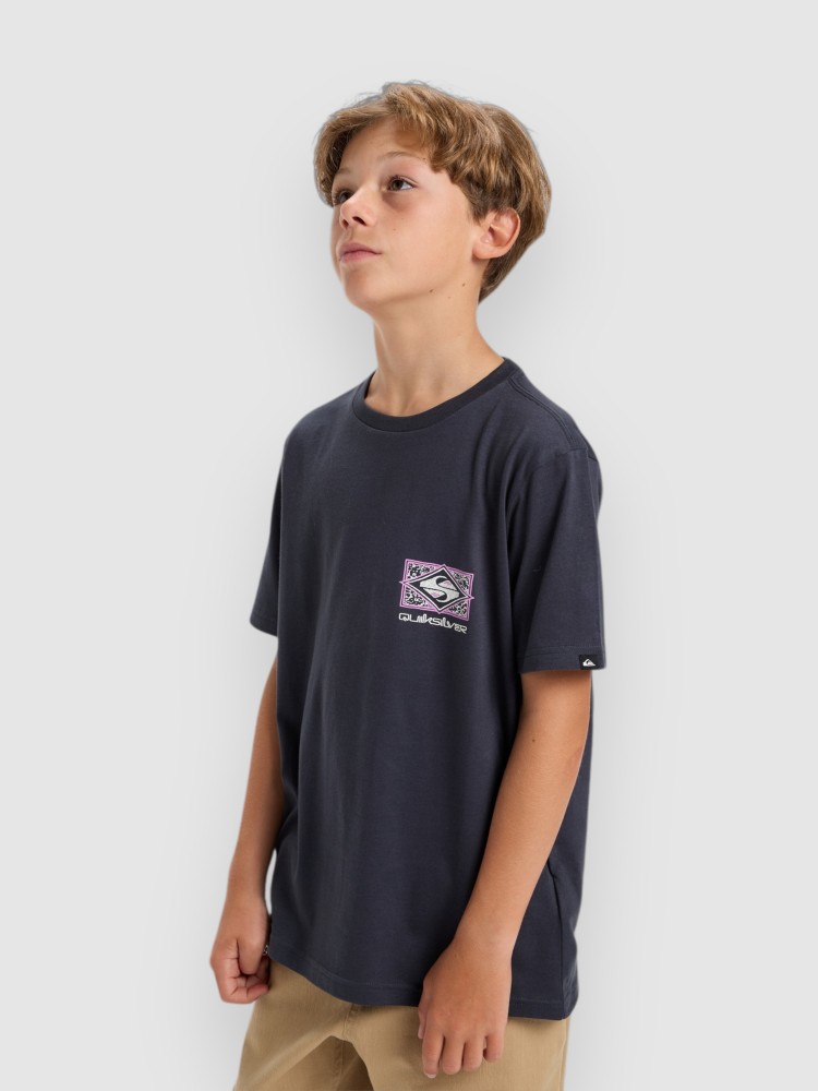 Футболка Quiksilver Evo Crisis Kids T-Shirt, india ink