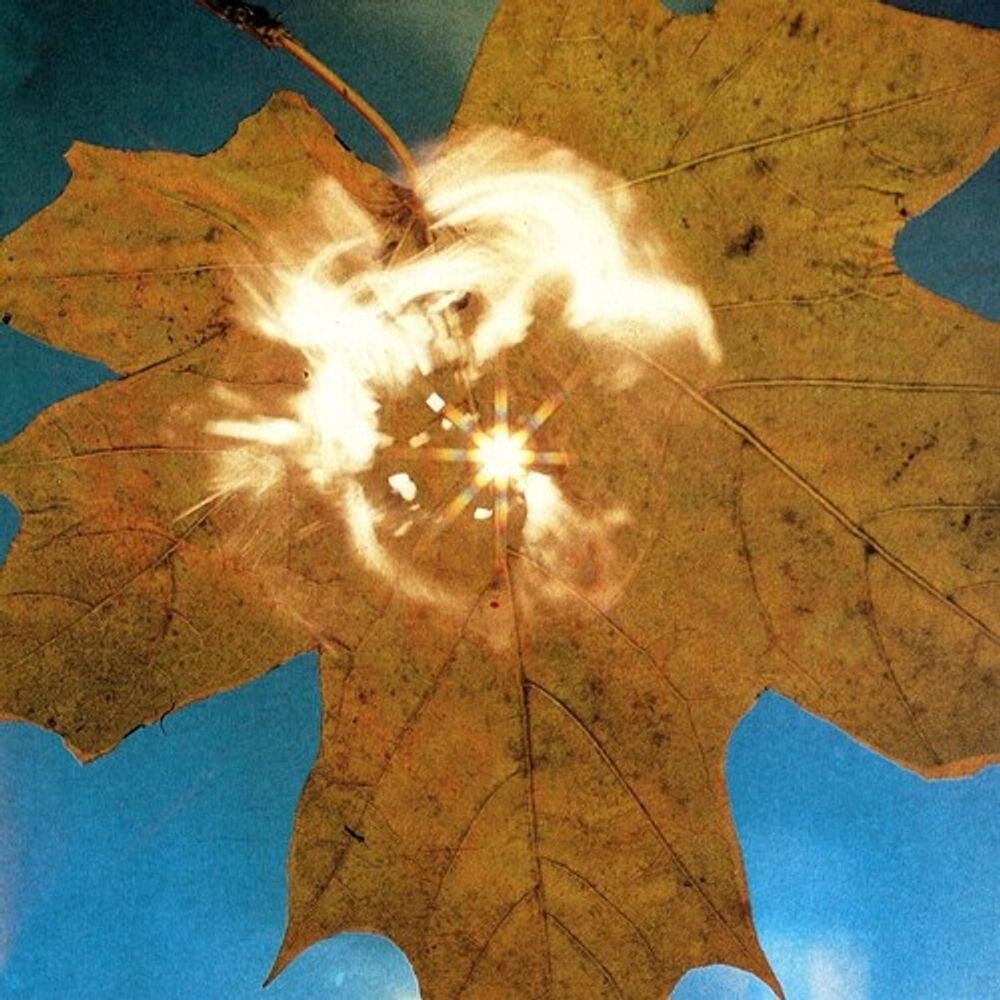 

Виниловая пластинка LP Force Of The Wind - Soyuz