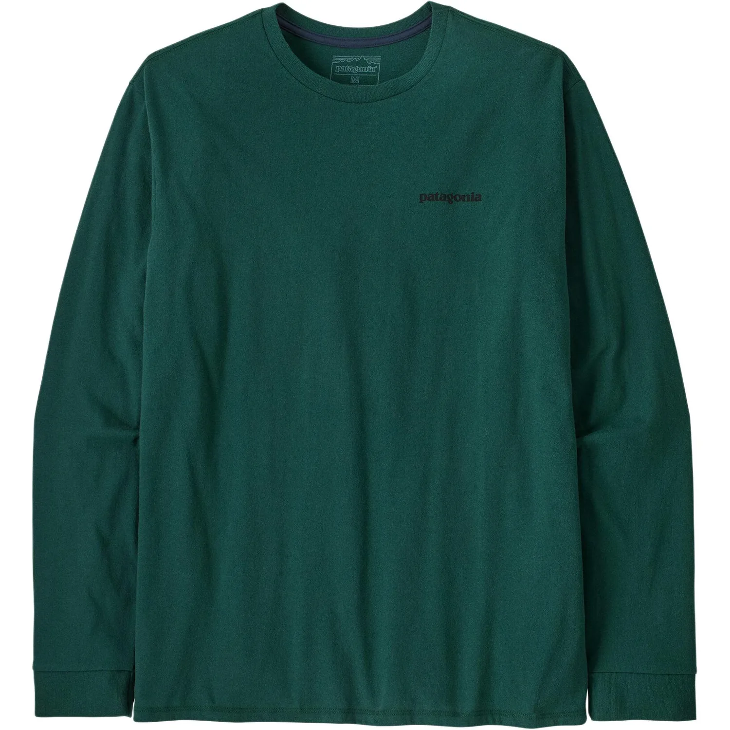 Футболка с длинным рукавом P-6 Patagonia, Waterfall Green/CASG