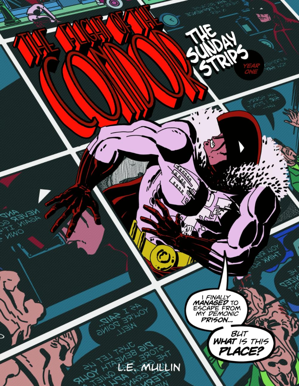 

The Flight of The Condor, The Sunday Strips: Year one (Independently published)