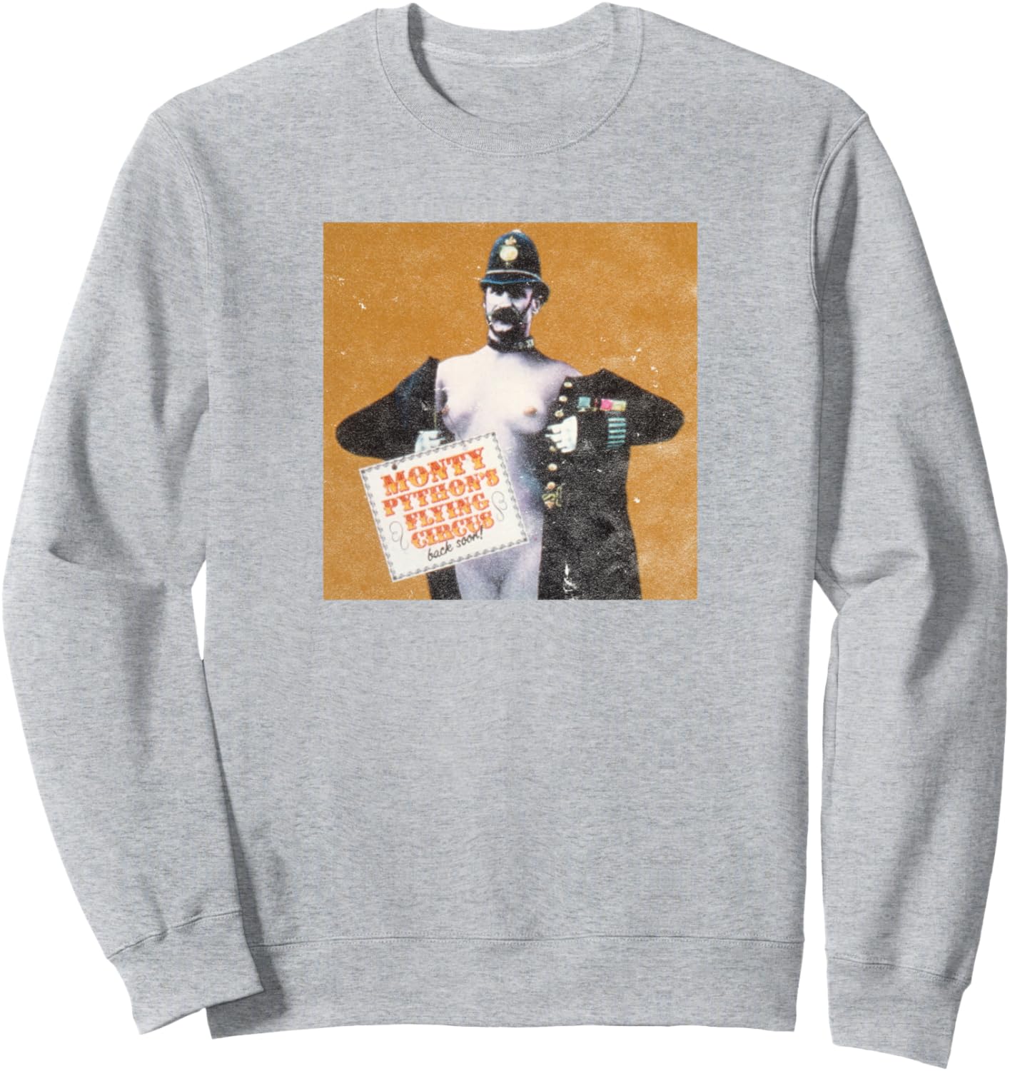 

Официальная толстовка Monty Python Police Flying Circus, серая