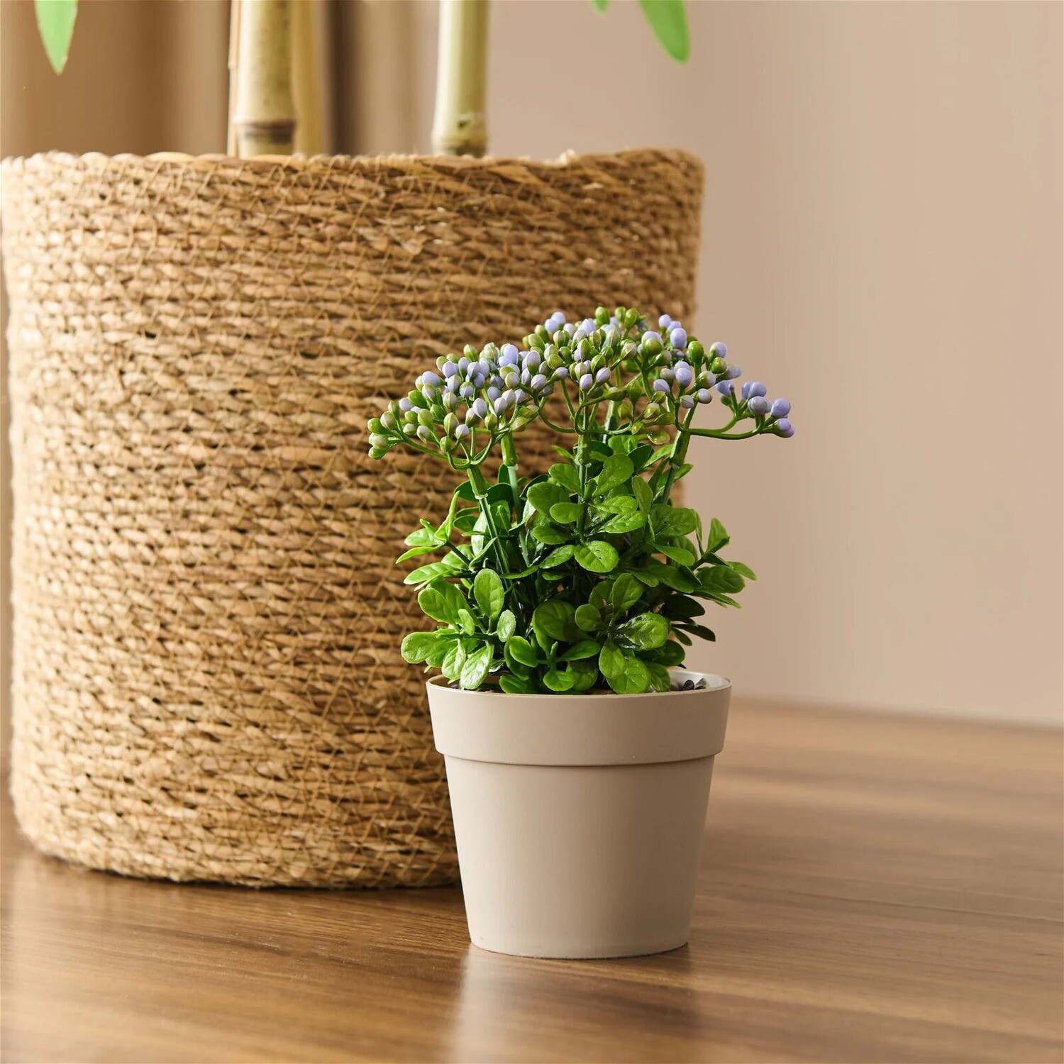 

Eva Decor Искусственный цветок кокина в горшке - Разноцветный - 17x6 см Eva Dekor