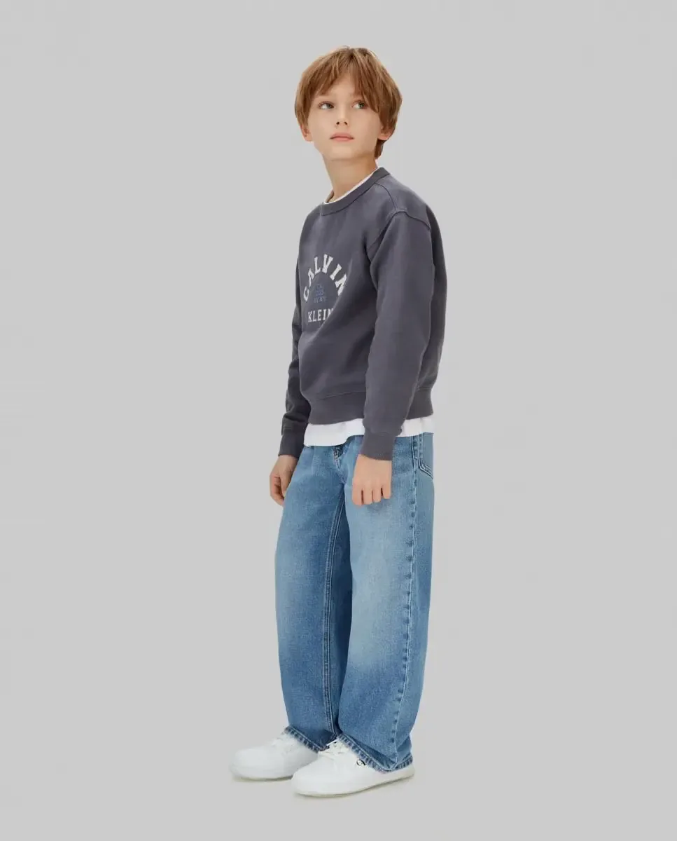 Толстовка для мальчика в стиле varsity Calvin Klein, серый — фото 4