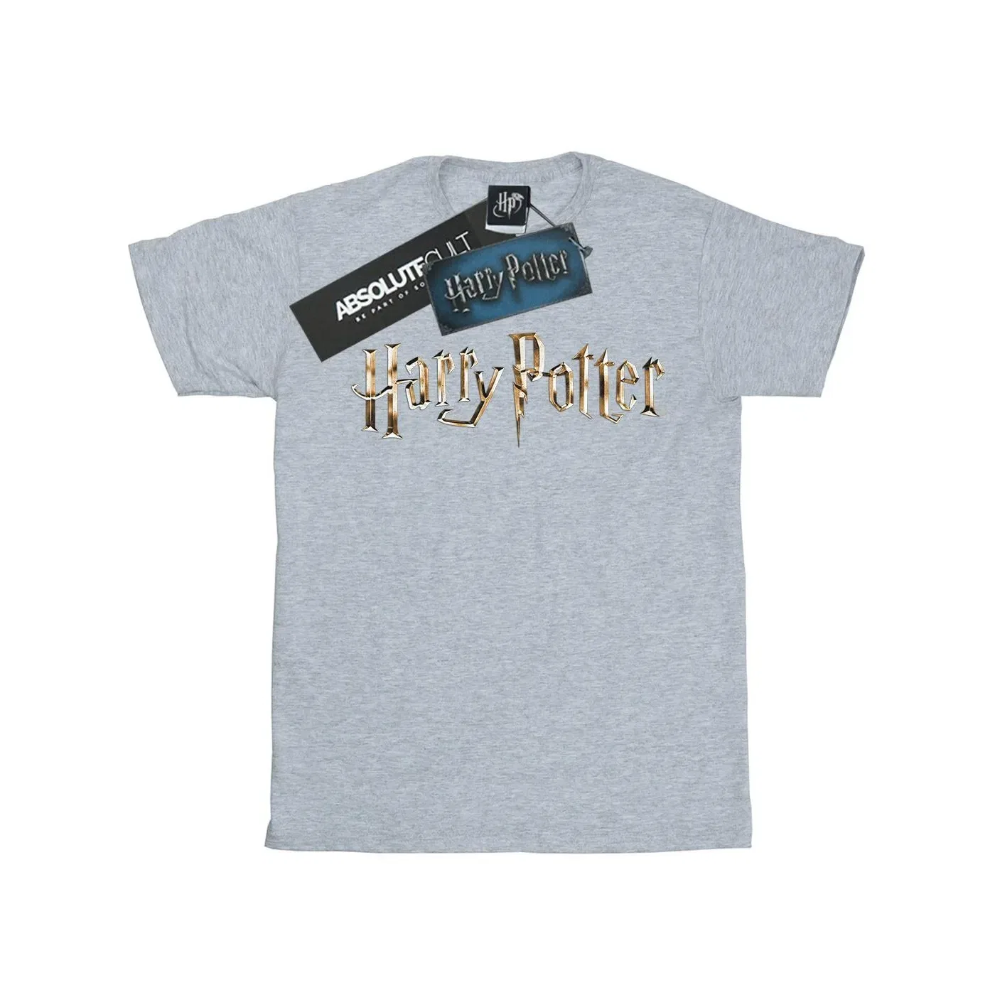 Футболка детская Harry Potter с принтом, серый — фото 2
