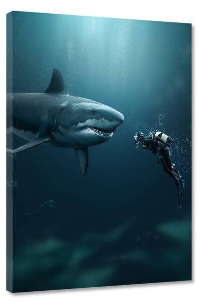 

Картина на холсте Hustling Sharks Shark X Diver, синий