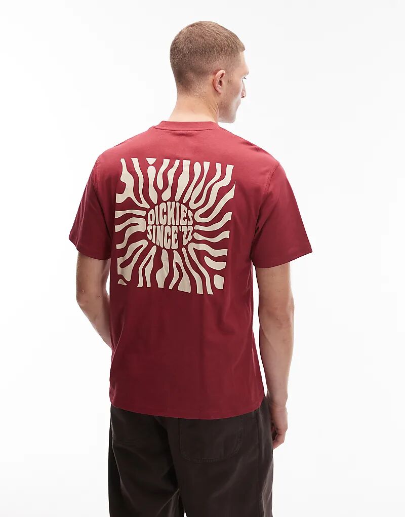 

Футболка Dickies South Bloomfield с абстрактным графическим принтом на спине красного цвета — эксклюзивно для Asos