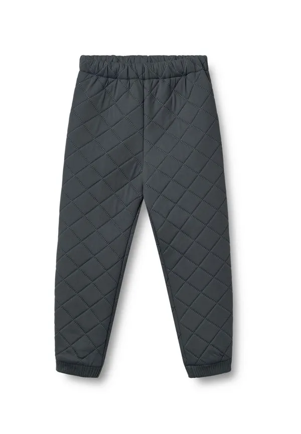 Спортивные штаны thermo alex Wheat, Ink