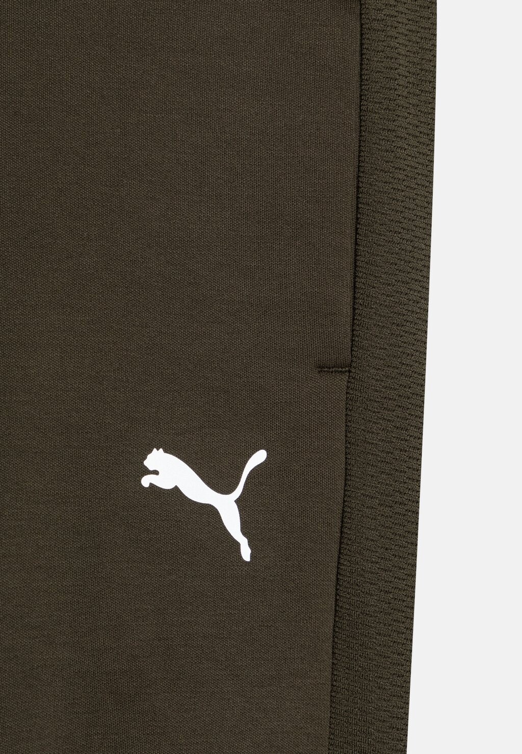 

Спортивные штаны EVOSTRIPE PANTS UNISEX Puma, хаки