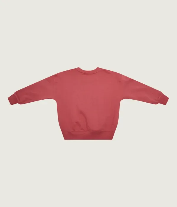 Толстовка regular fit Polo Ralph Lauren, розовый — фото 2