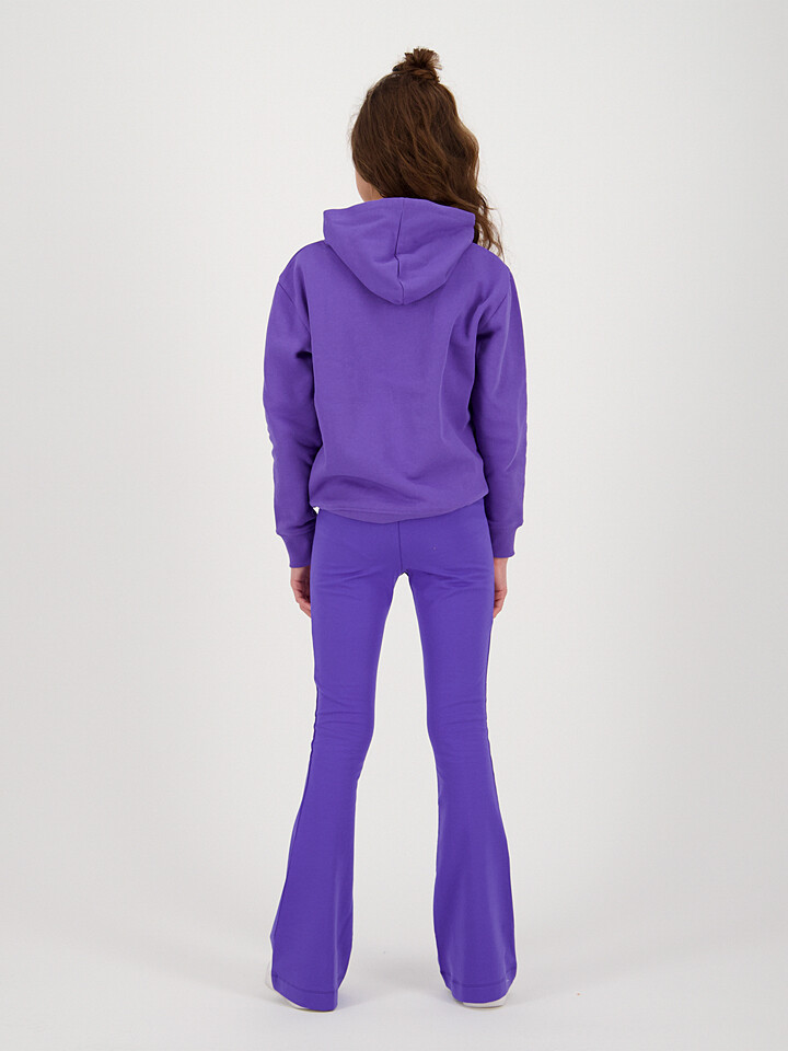 

Леггинсы RAIZZED Schlaghose Melis, фиолетовый