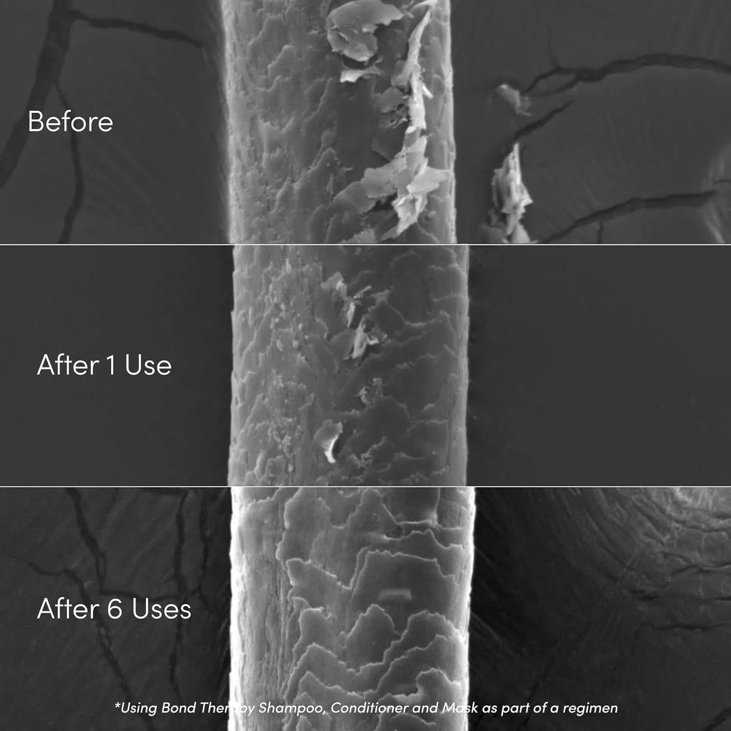 Шампунь для восстановления связей волос Bond Therapy Pro Bond от Coco & Eve Coco & Eve — фото 3