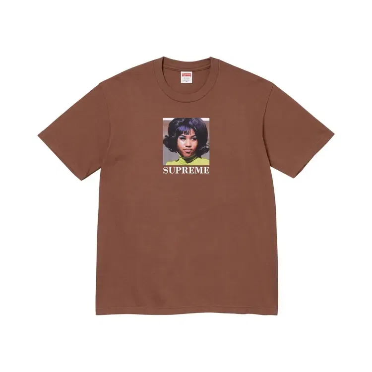 Футболка Supreme Aretha Tee, коричневый