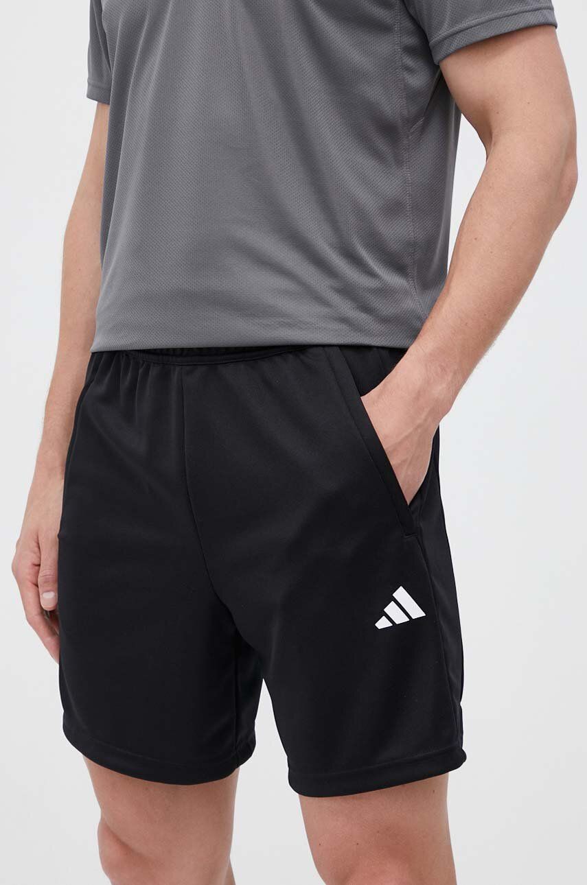 

Спортивные шорты Train Essentials adidas Performance, черный