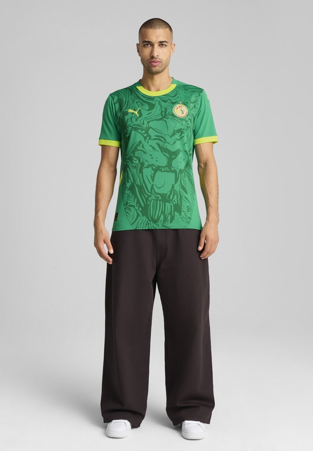 

Футболка SENEGAL Puma, зеленый
